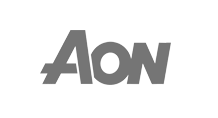 AON_gs Image